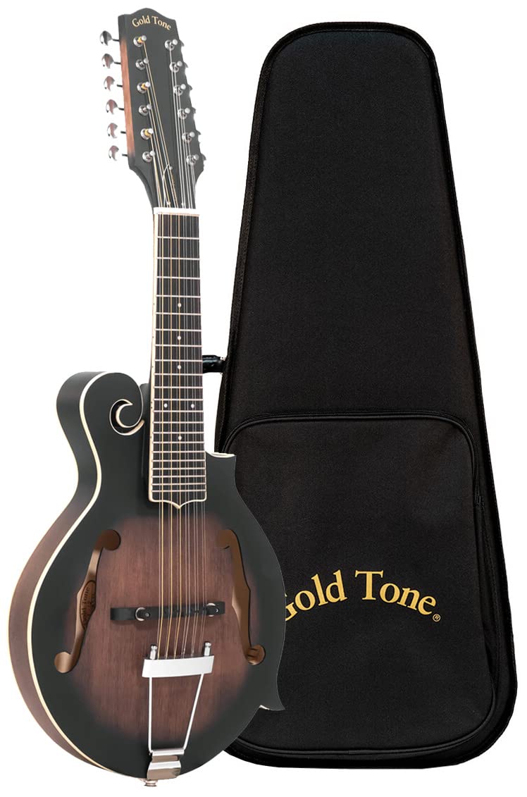 12-String Mando-Guitar with Hardshell Case Z703640