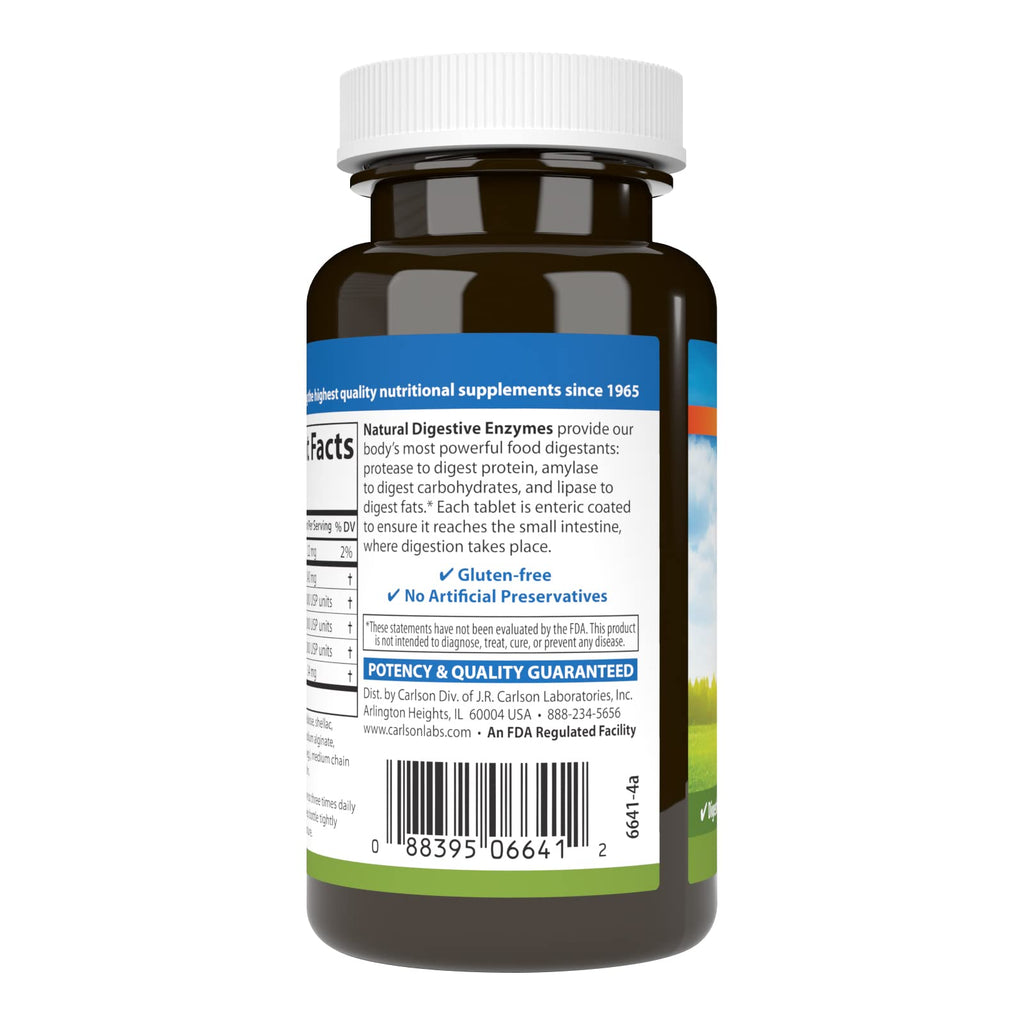 Natural Digestive Enzymes, 100 Tablets N585694