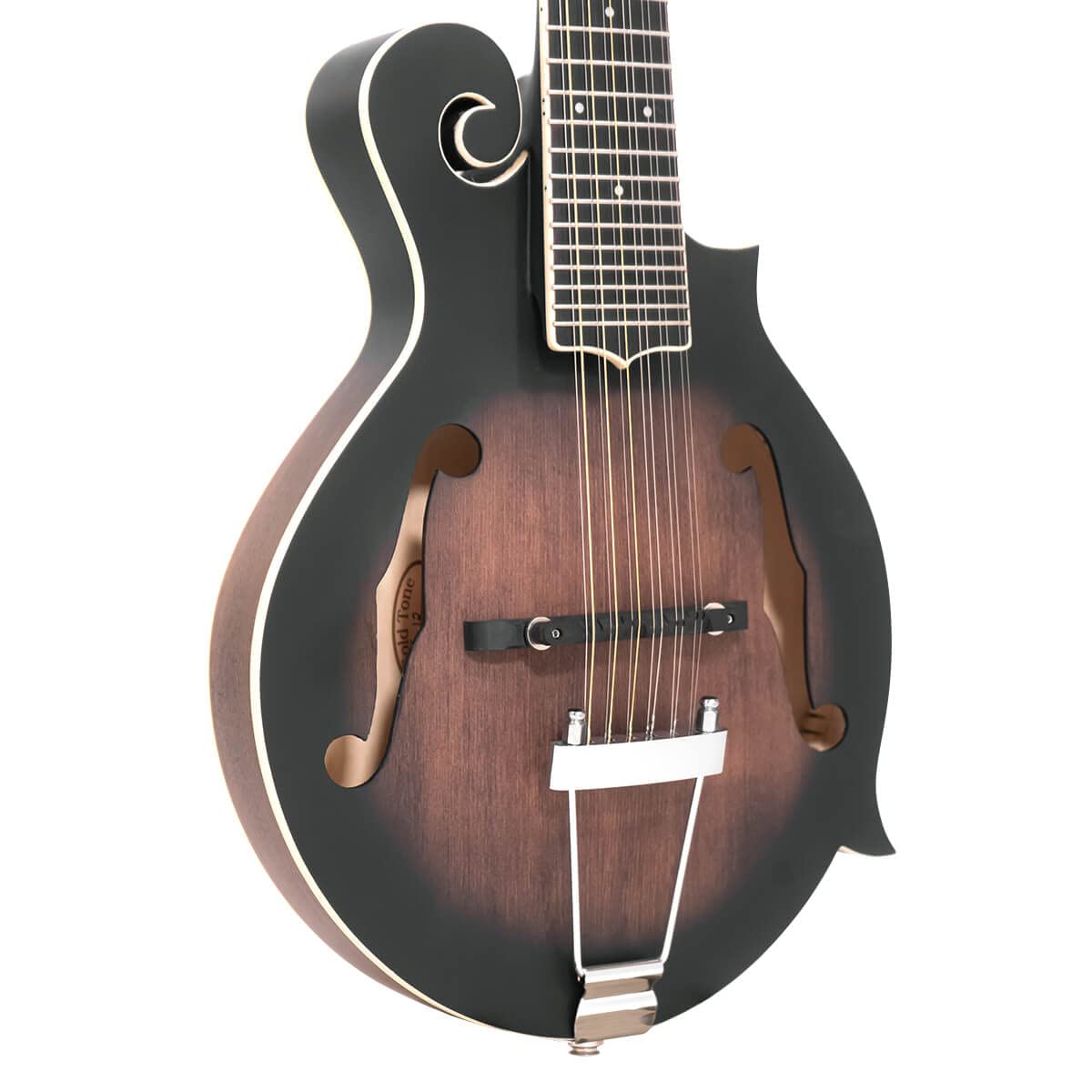 12-String Mando-Guitar with Hardshell Case Z703640