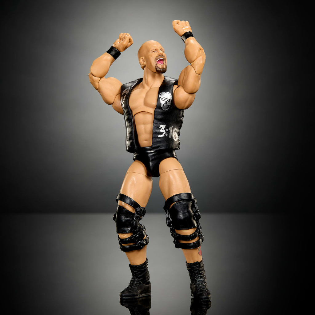 WWE Elite Collection Action Figure & Accessories Q36649