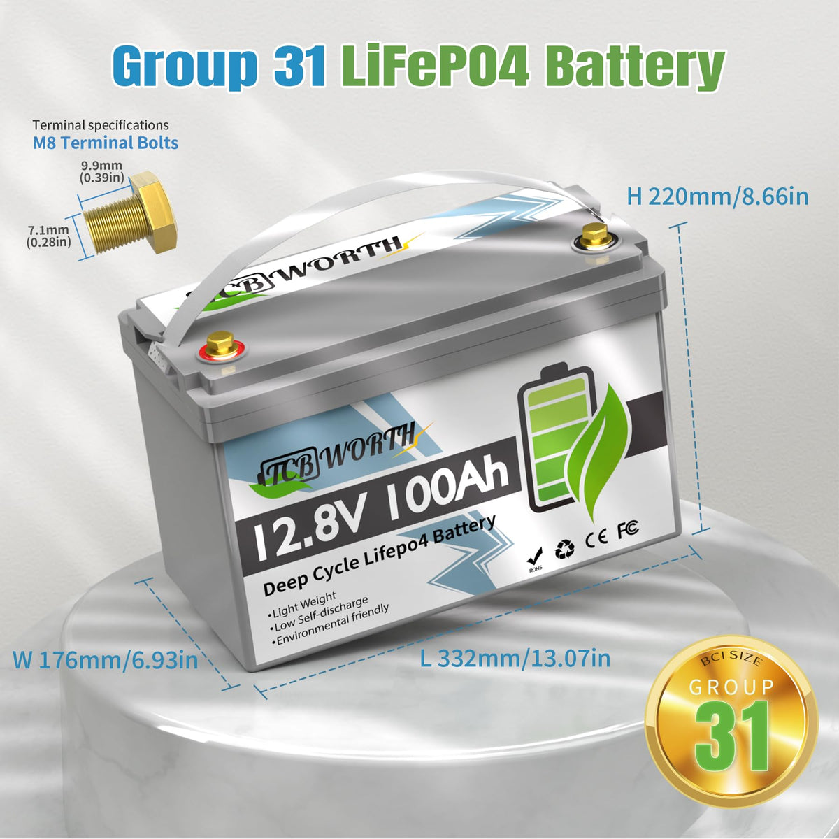 12V 100Ah LiFePO4 Deep Cycle Lithium Battery with 100A BMS A86512