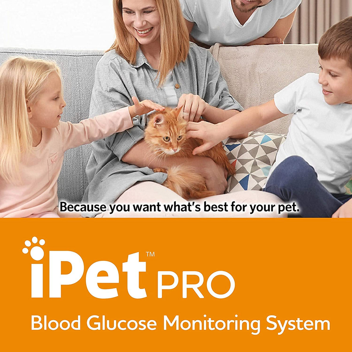 Blood Glucose Monitoring System for Dogs & Cats H69823