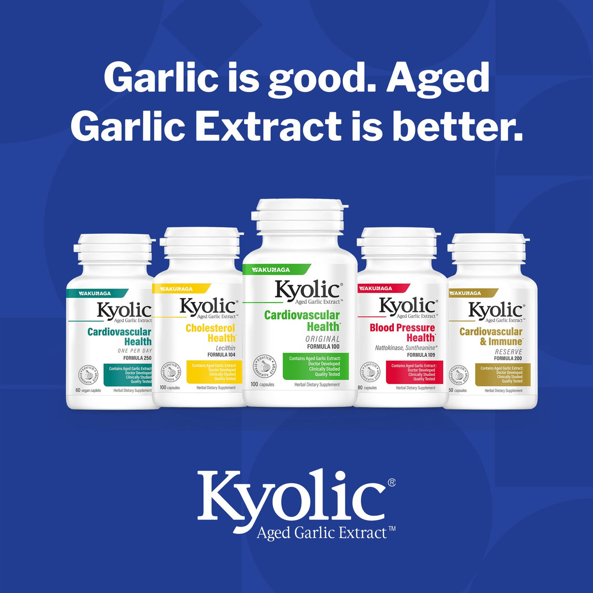 Aged Garlic Extract 300 Capsules G152