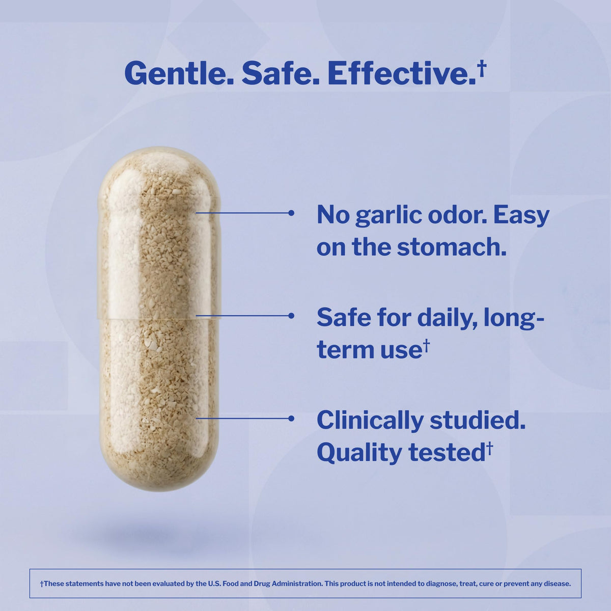 Aged Garlic Extract 300 Capsules G152