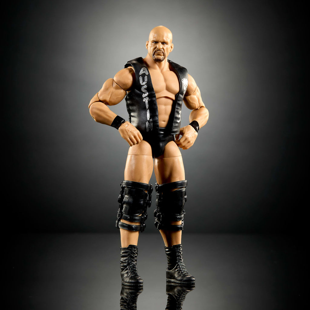 WWE Elite Collection Action Figure & Accessories Q36649