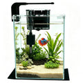 2 Gallon Betta Fish Tank with Filter and Light H3478
