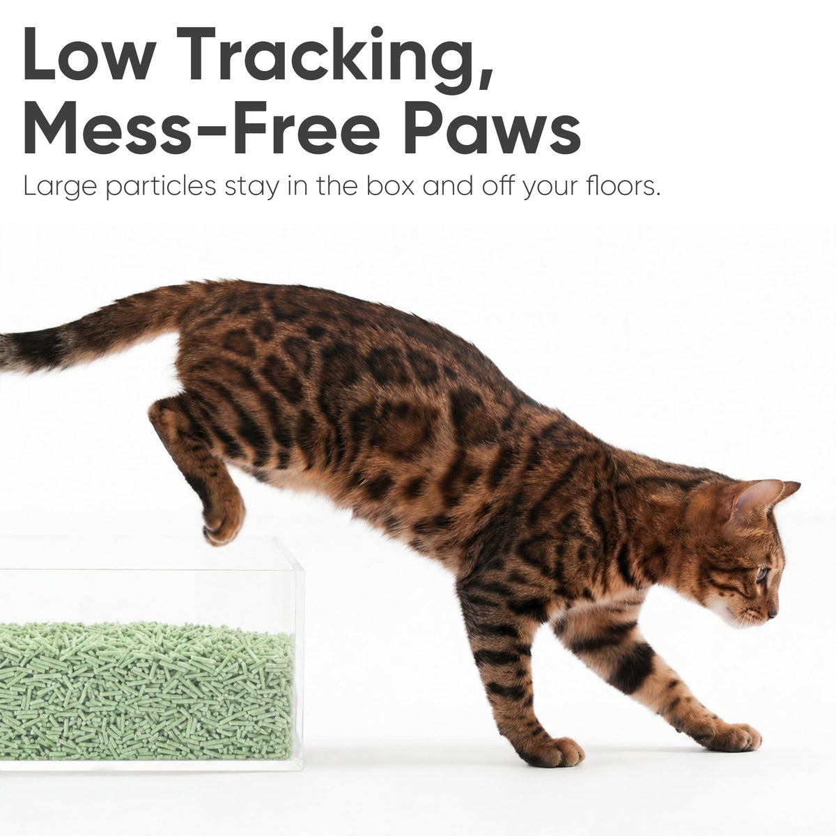 Green Tea Scented Clumping Tofu Cat Litter 12 lb H62396