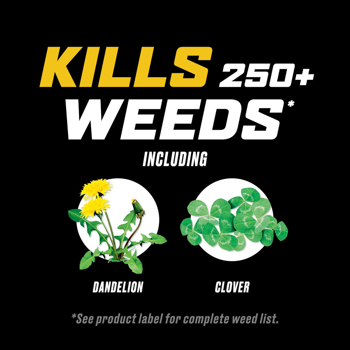 Weed Killer for Lawns Refill, 1 Gal. G967790