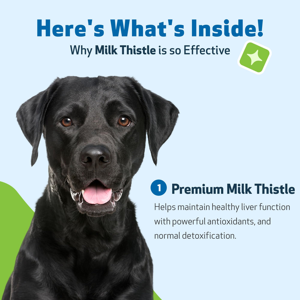 Milk Thistle for Dogs 2 oz Y74278