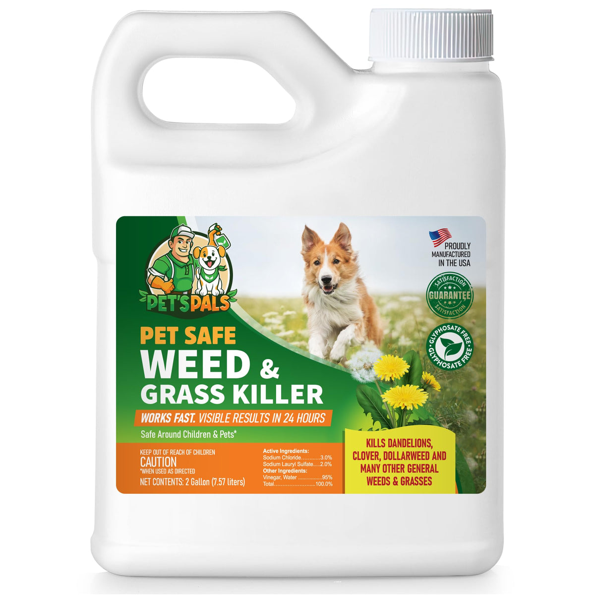 Natural Weed Killer Spray 2 Gallons W9786