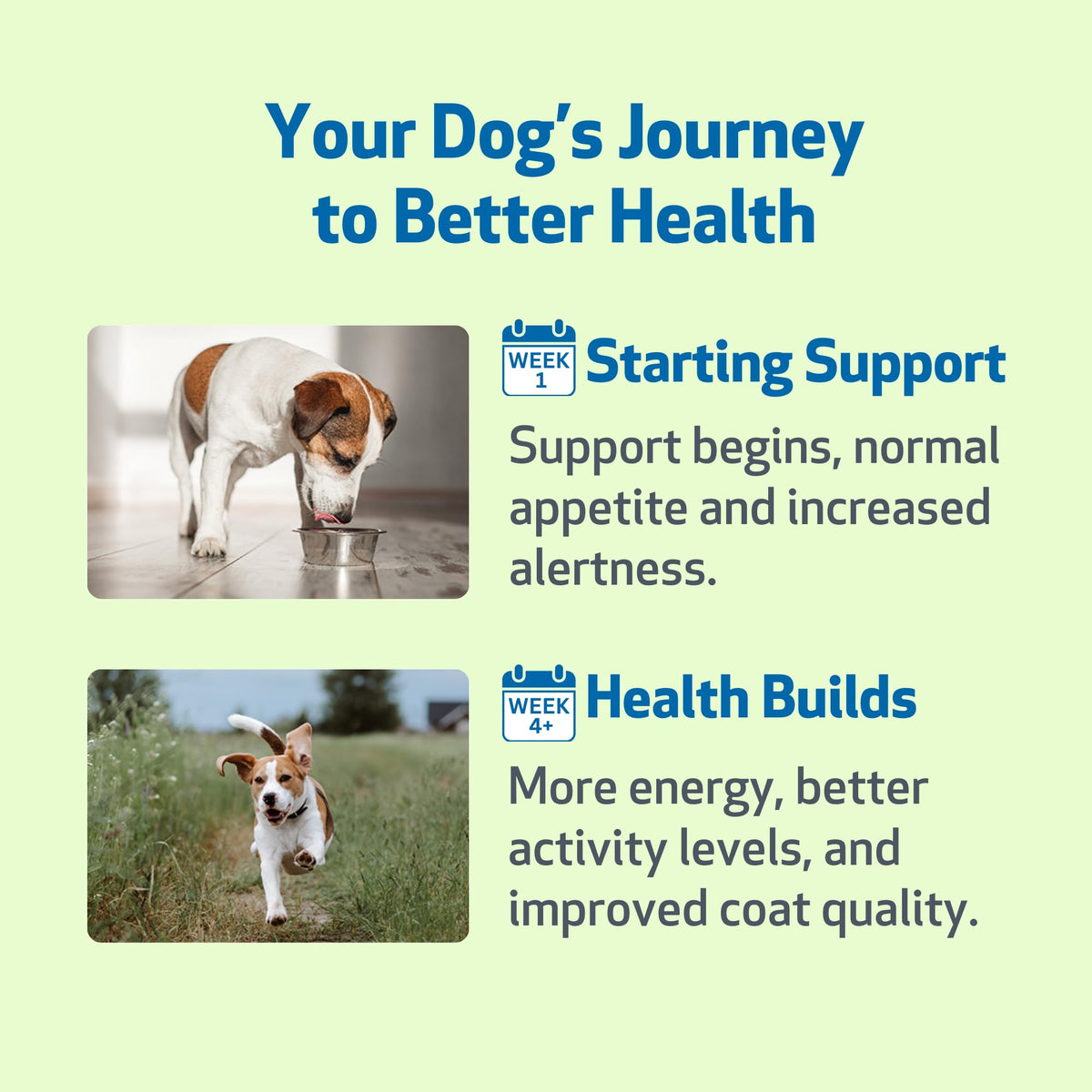 Milk Thistle for Dogs 2 oz Y74278