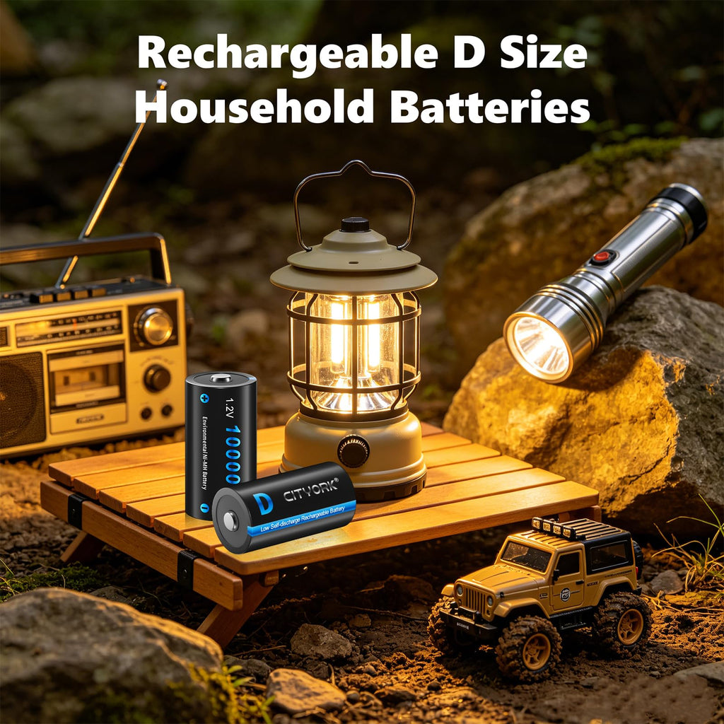 4 Pack Rechargeable D Batteries 10000mAh L949716
