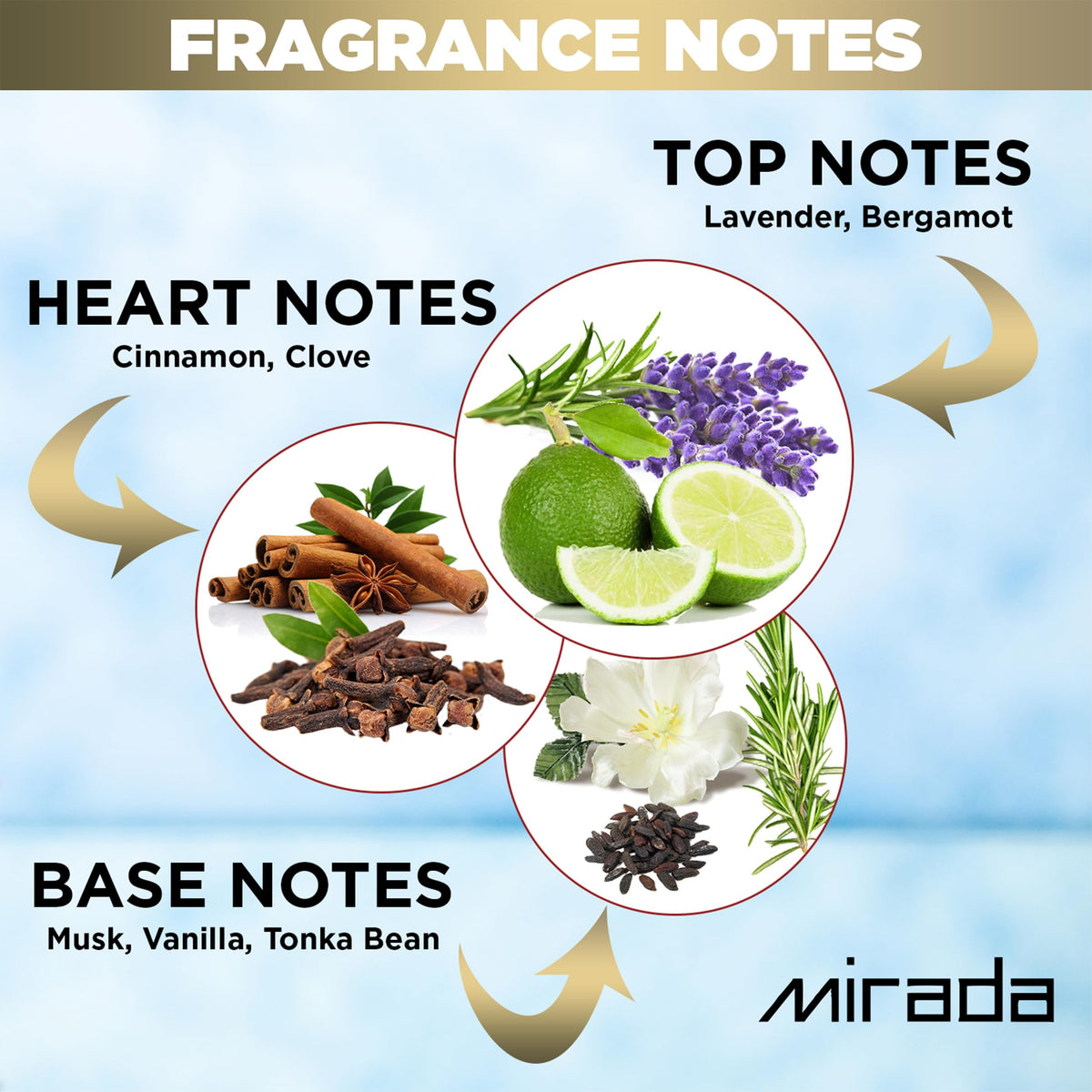 White Musk Eau de Parfum Spray 3.4 FL. Oz X2089