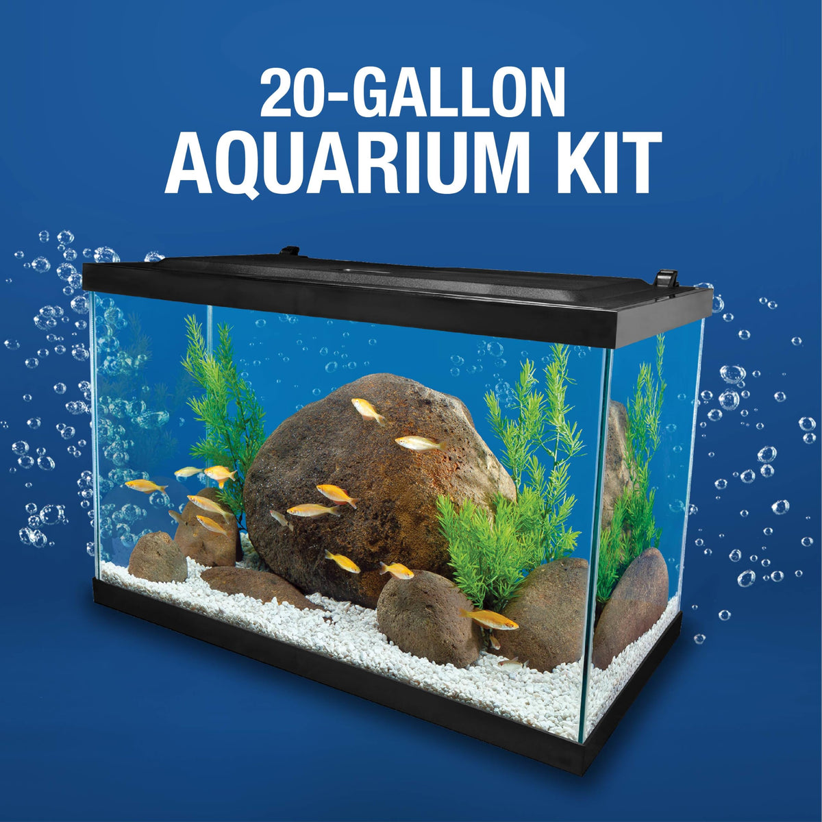20 Gallon Fish Tank Kit G39367