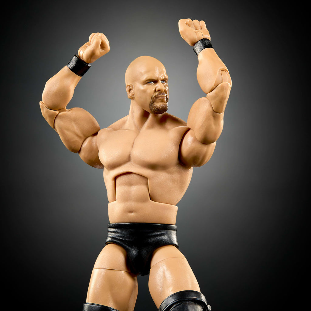 WWE Elite Collection Action Figure & Accessories Q36649