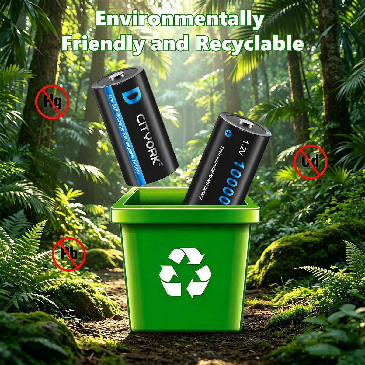 4 Pack Rechargeable D Batteries 10000mAh L949716