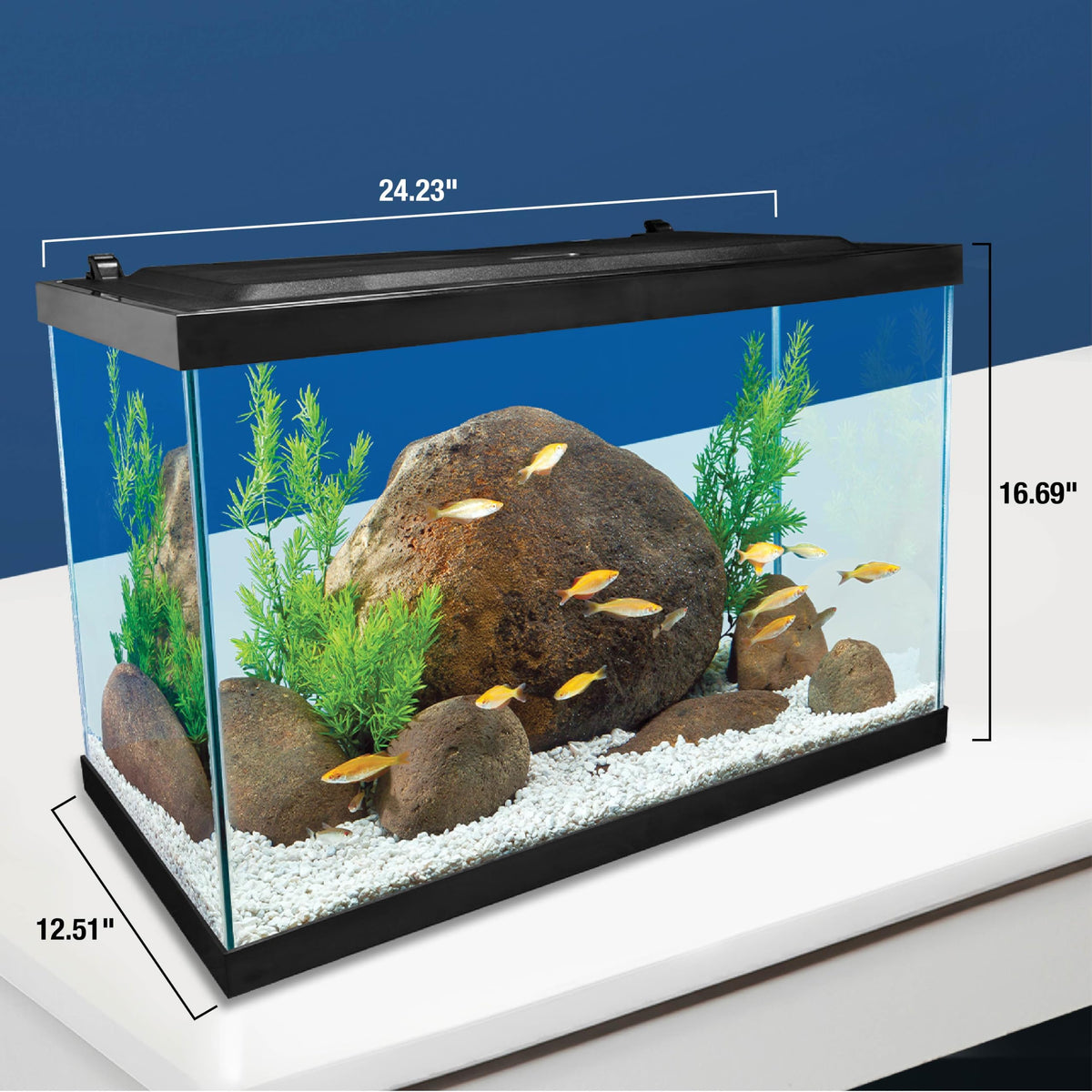 20 Gallon Fish Tank Kit G39367