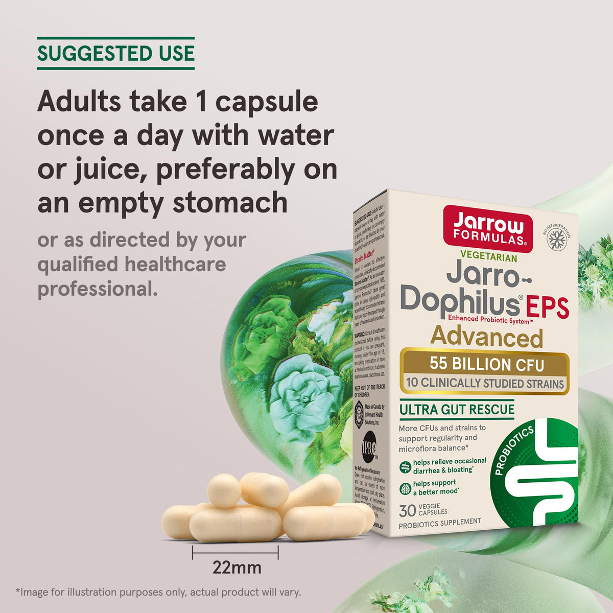 30 Capsules Probiotic Y50067