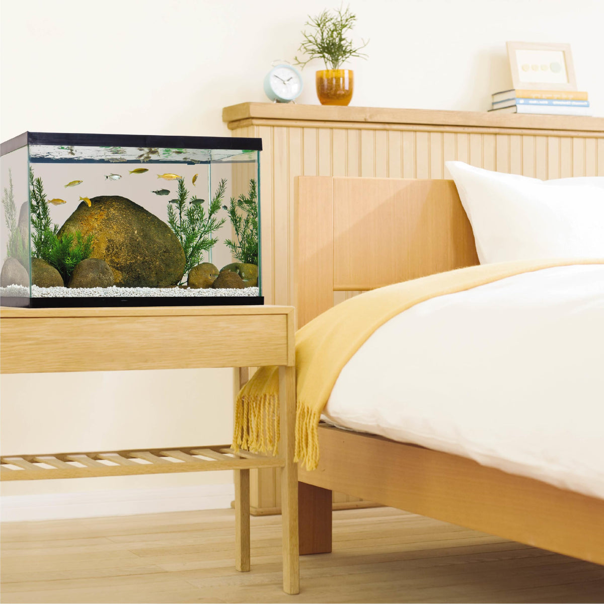 20 Gallon Fish Tank Kit G39367
