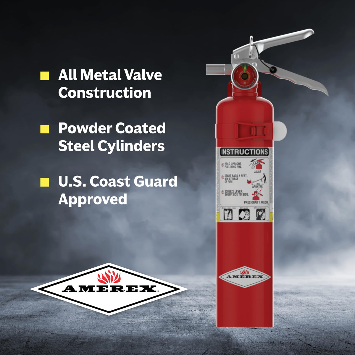 2.5 lbs ABC Dry Chemical Fire Extinguisher K571501