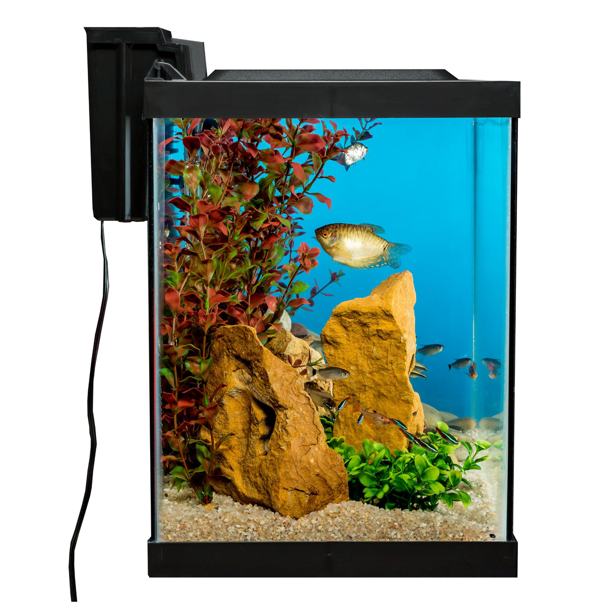 20 Gallon Fish Tank Kit G39367