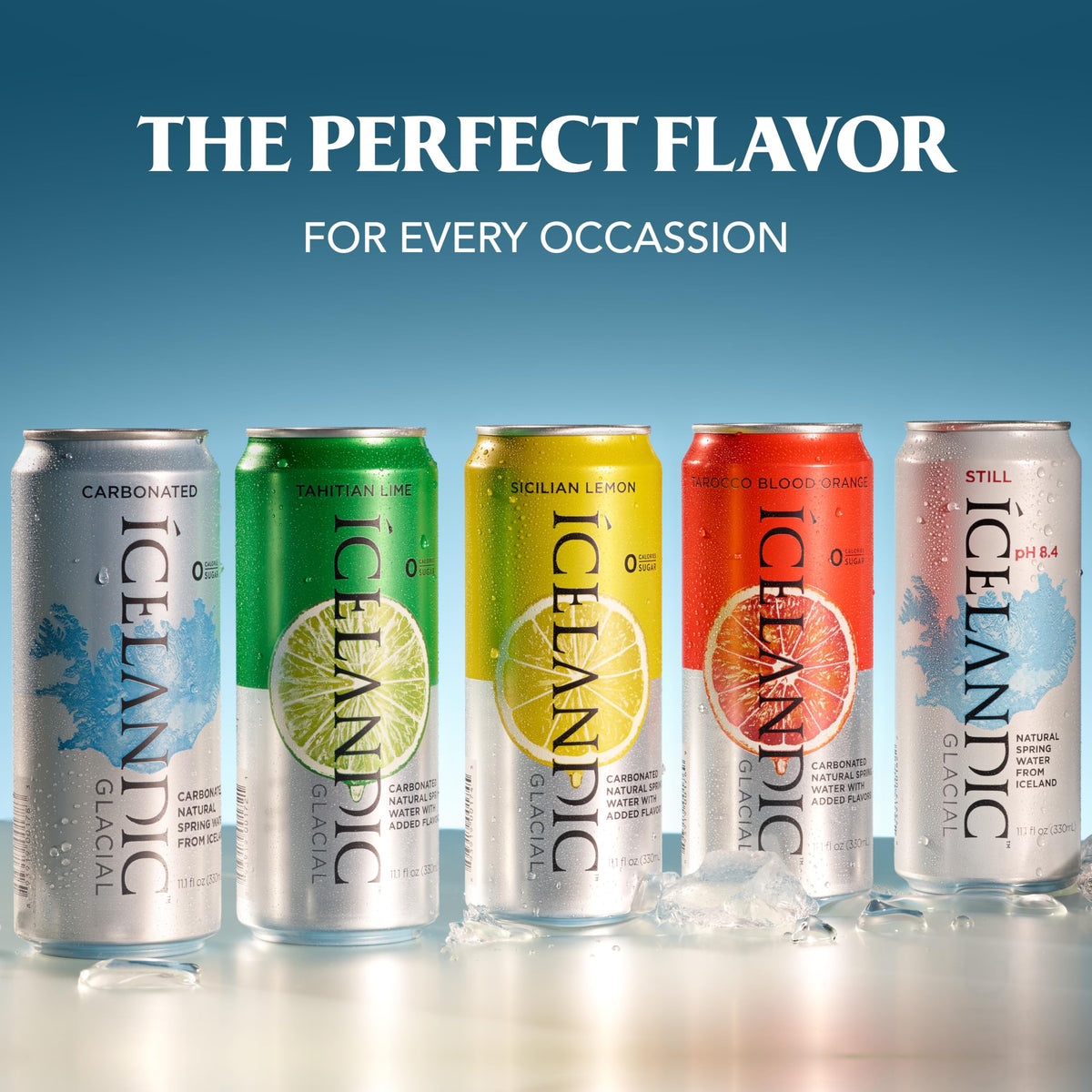 Sparkling Water 330 ml Cans Pack of 10 A567770